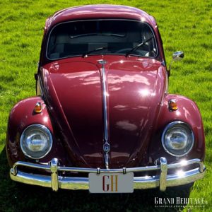 VW_Sedan_1961_0849